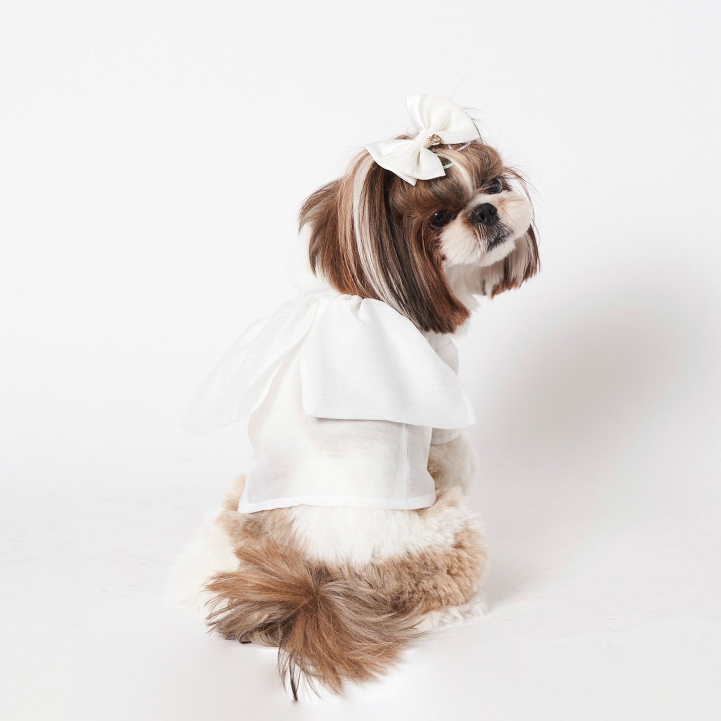 エンジェルウィングシャツ (White)