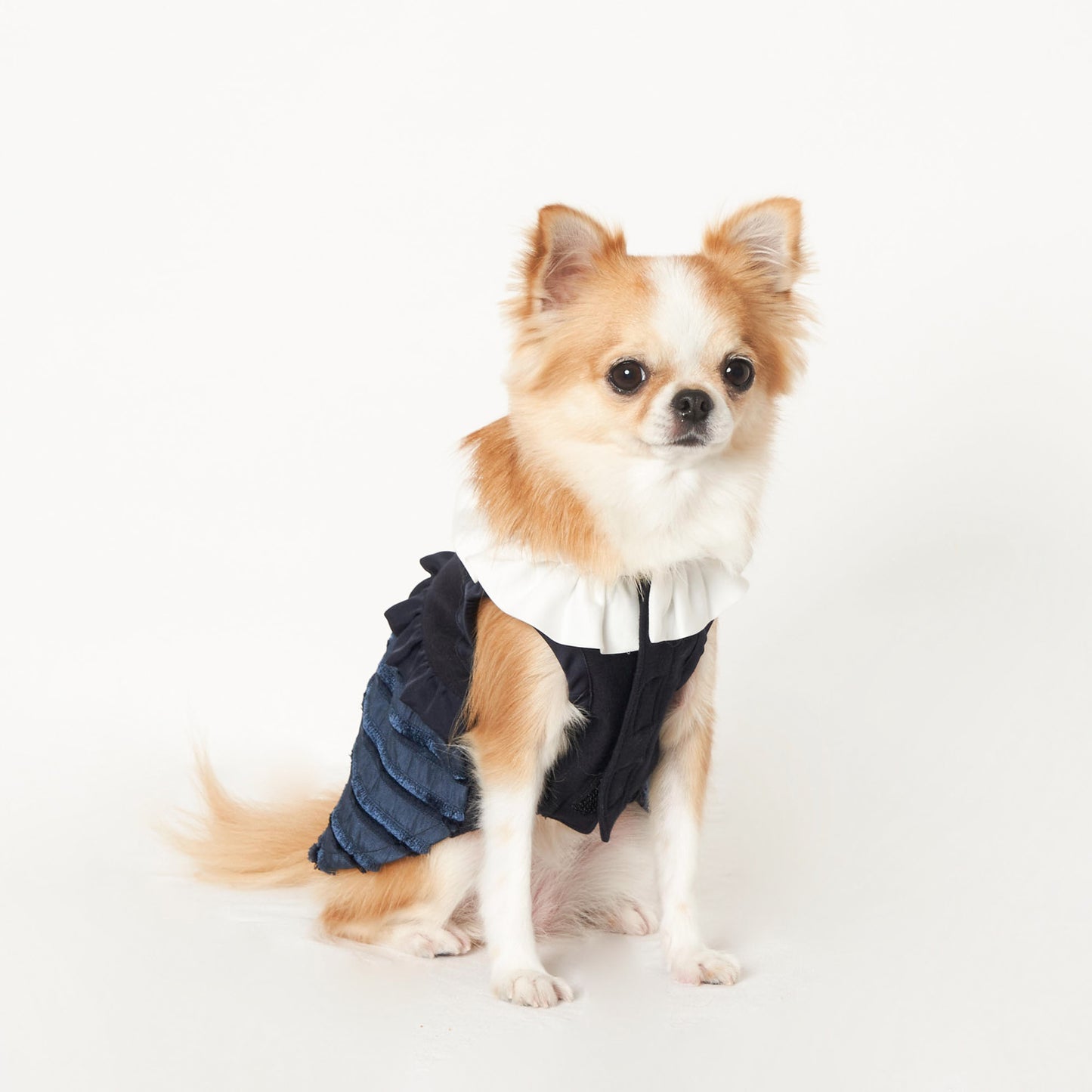 カットレースワンピース (Navy)