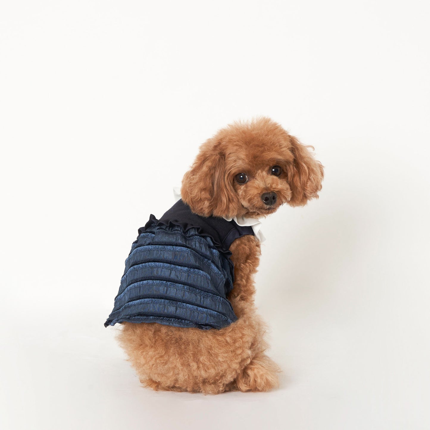 カットレースワンピース (Navy)