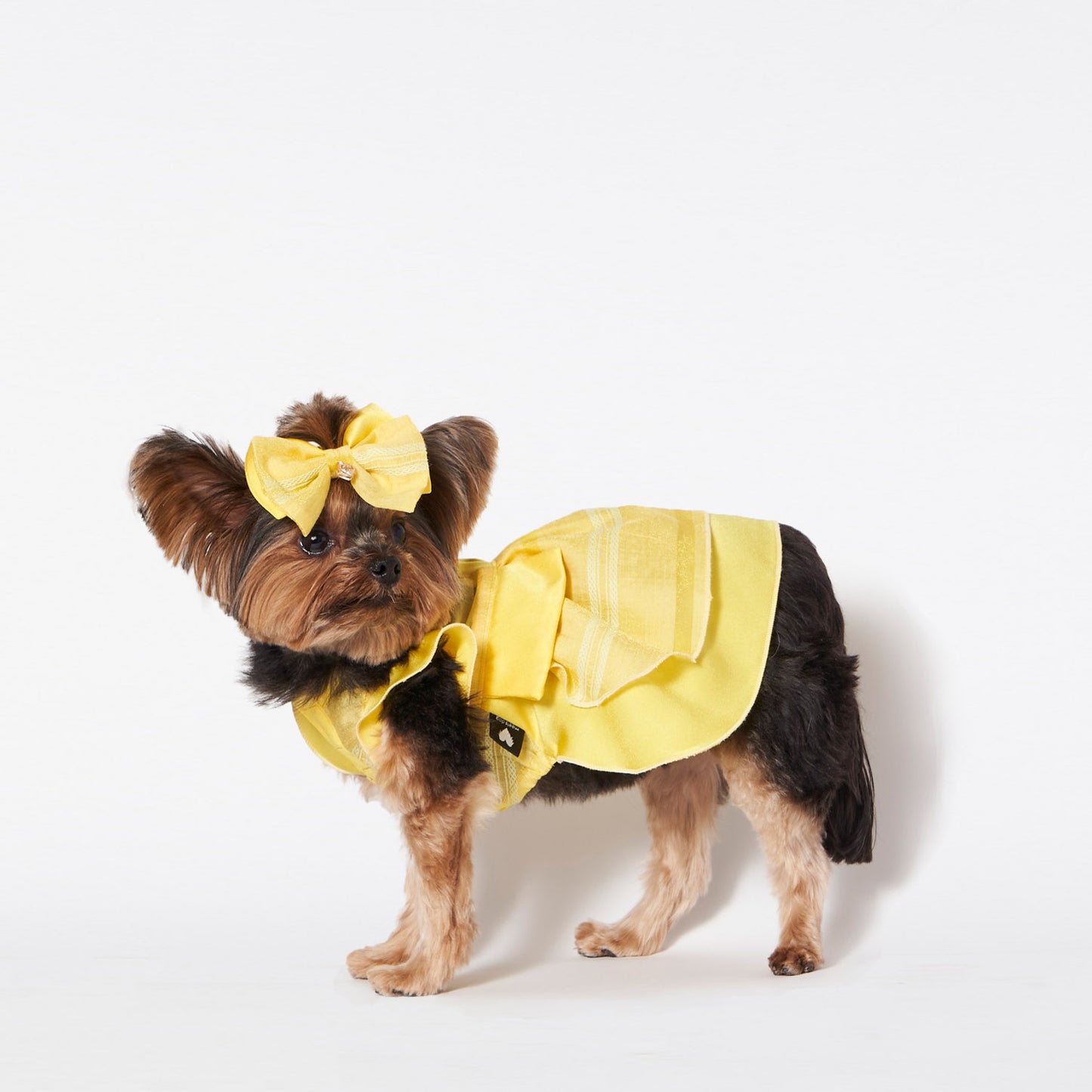 バンブーシャツ (Yellow)