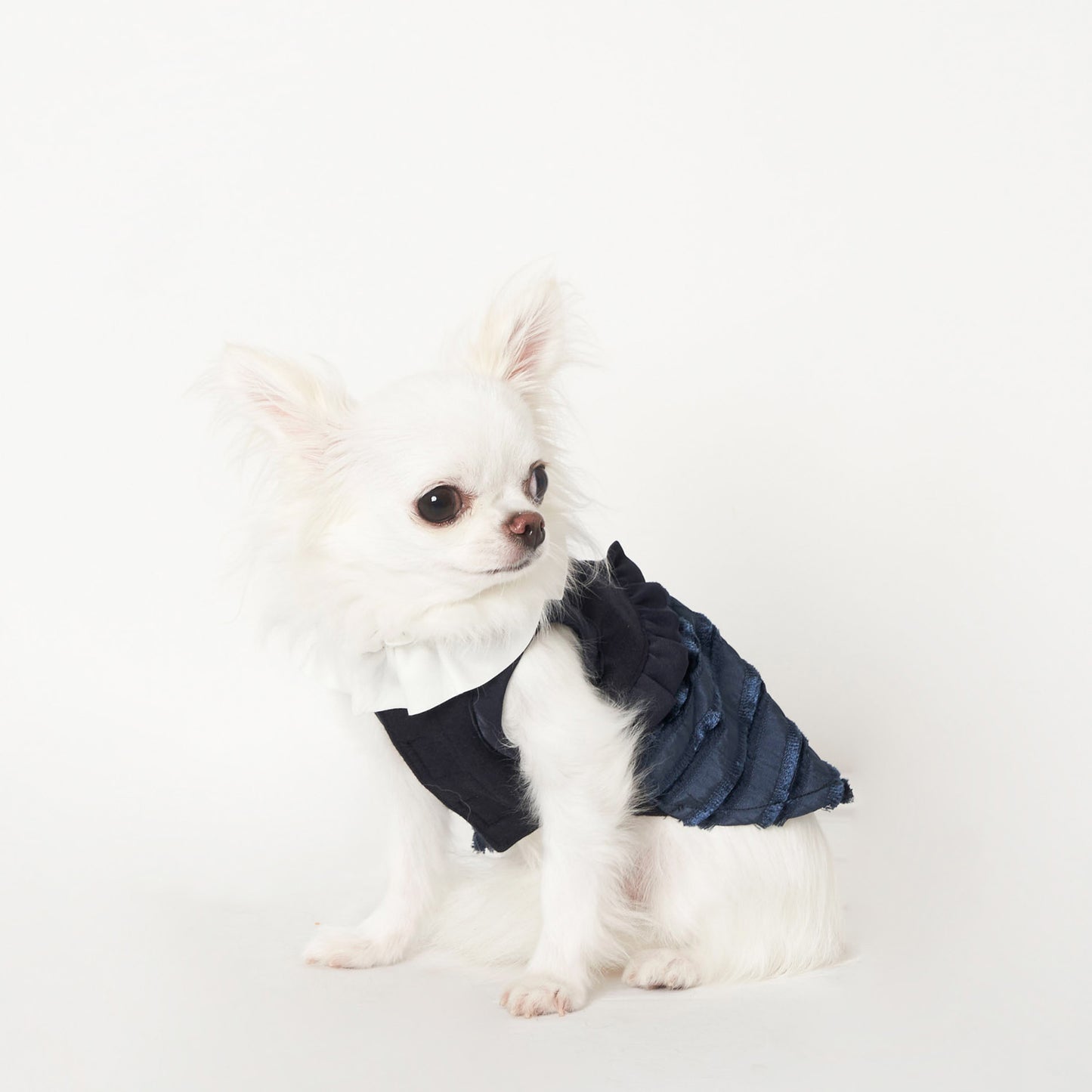 カットレースワンピース (Navy)