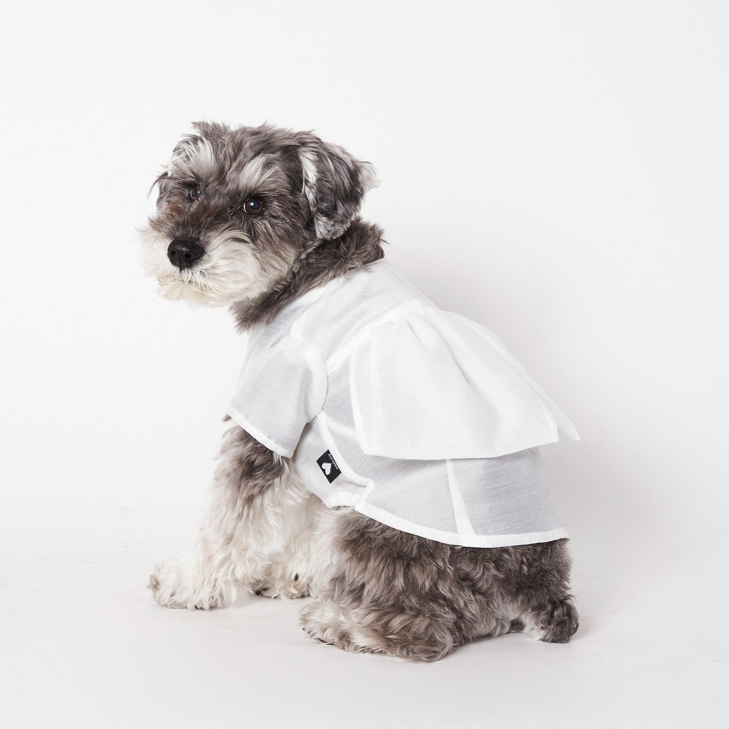 エンジェルウィングシャツ (White)