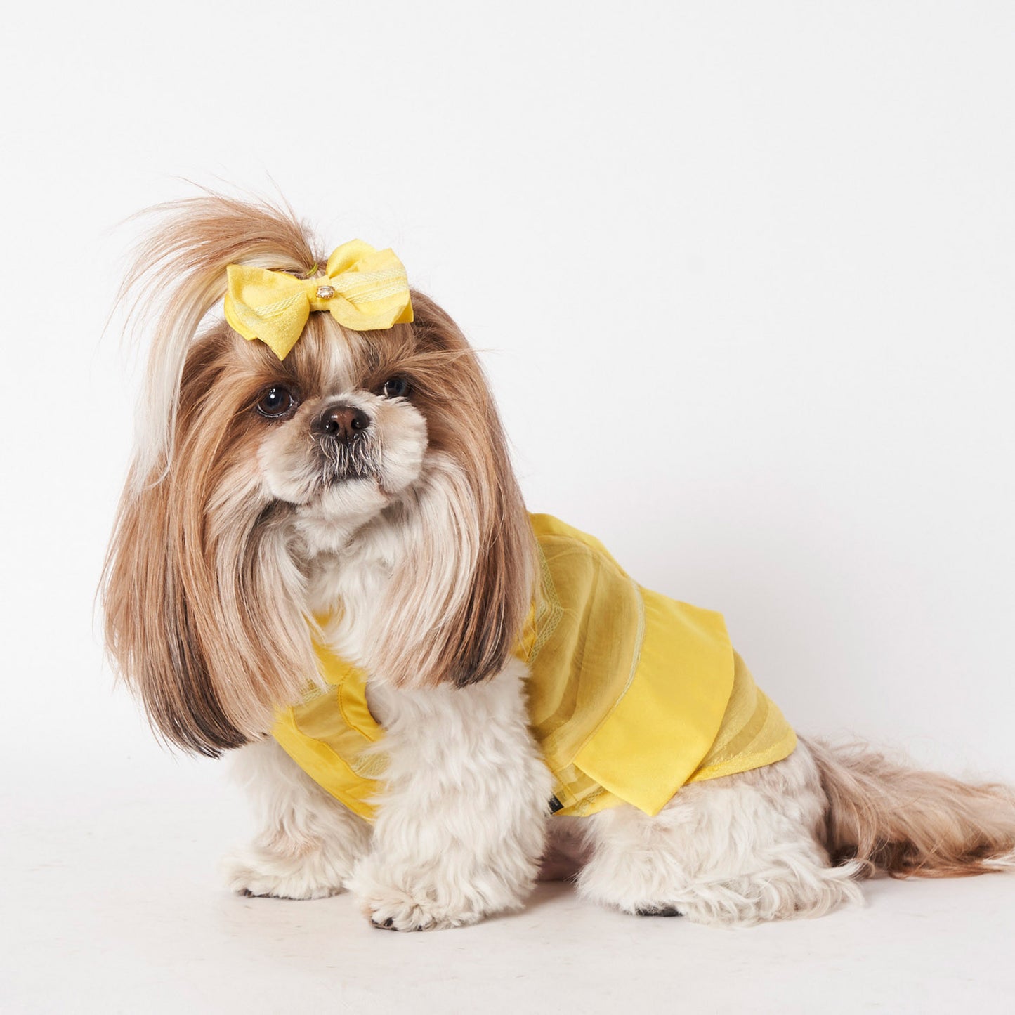 バンブーシャツ (Yellow)