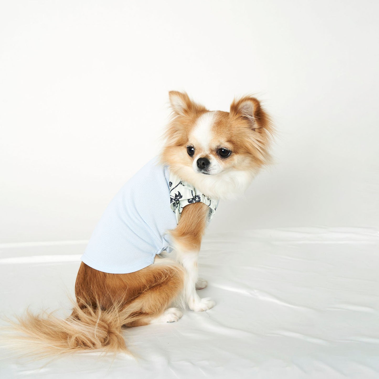 フリルTシャツ (Blue)