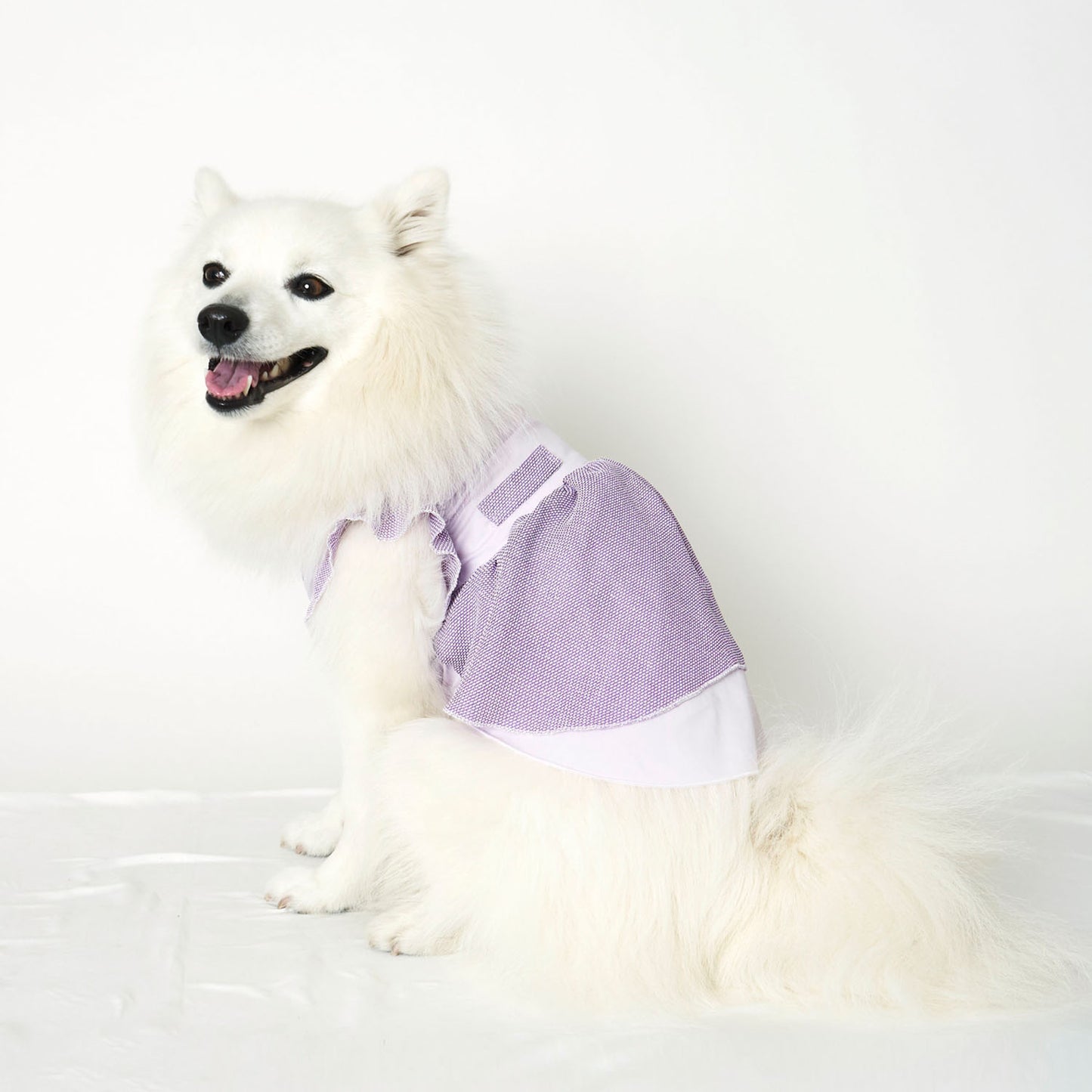 チリメンワンピース (Purple)
