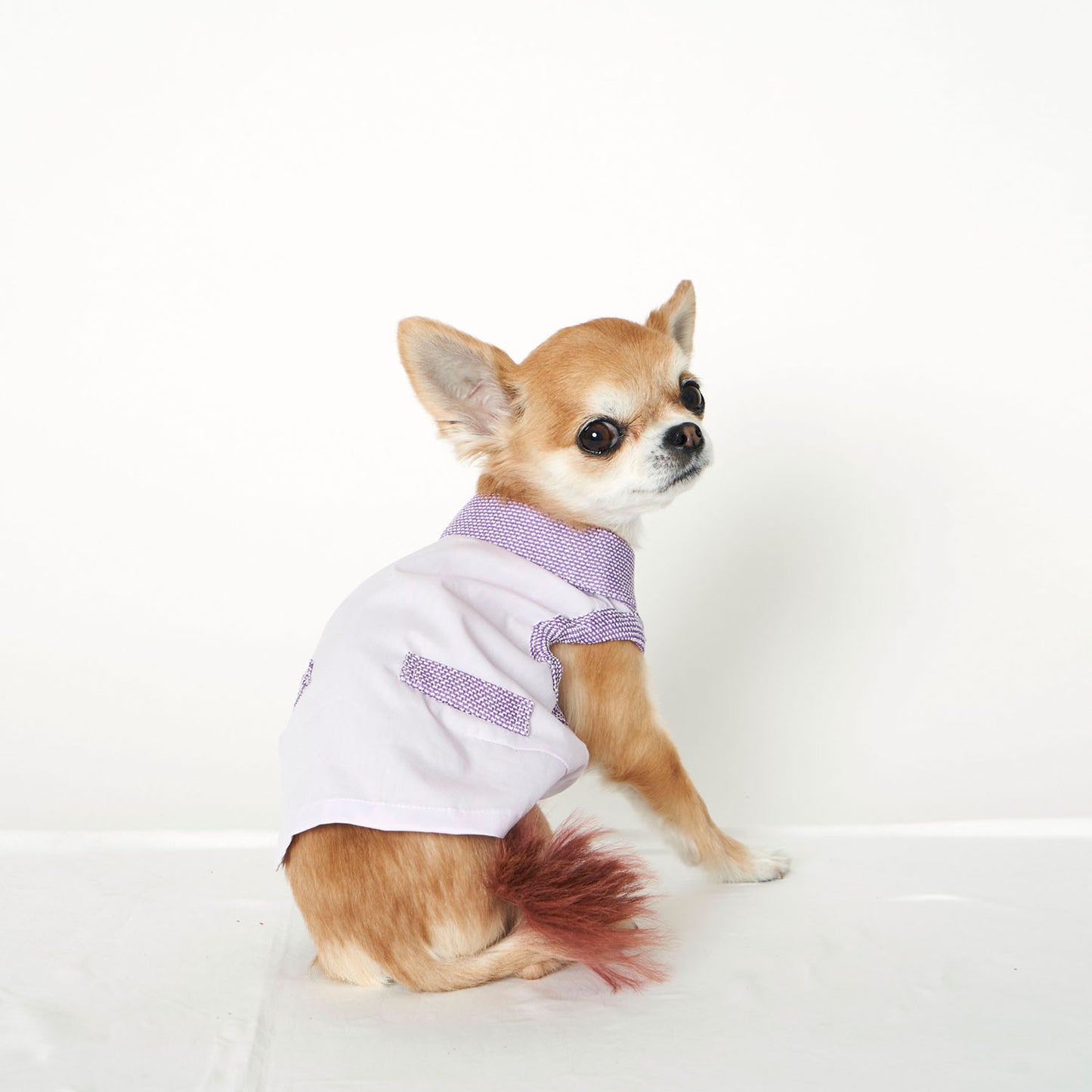 チリメンシャツ (Purple)