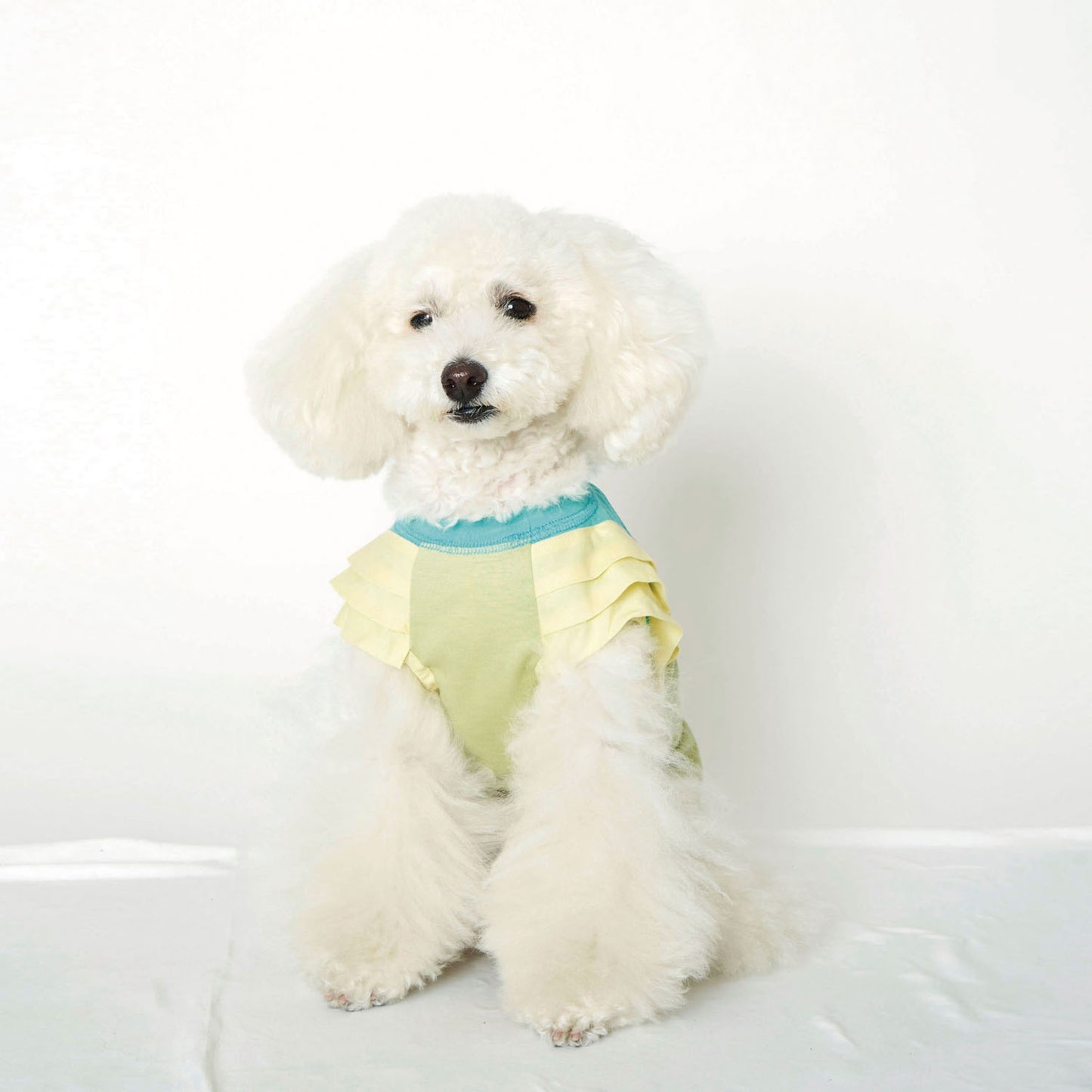 タックTシャツ (Mint)