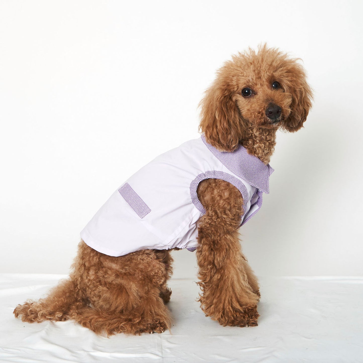 チリメンシャツ (Purple)