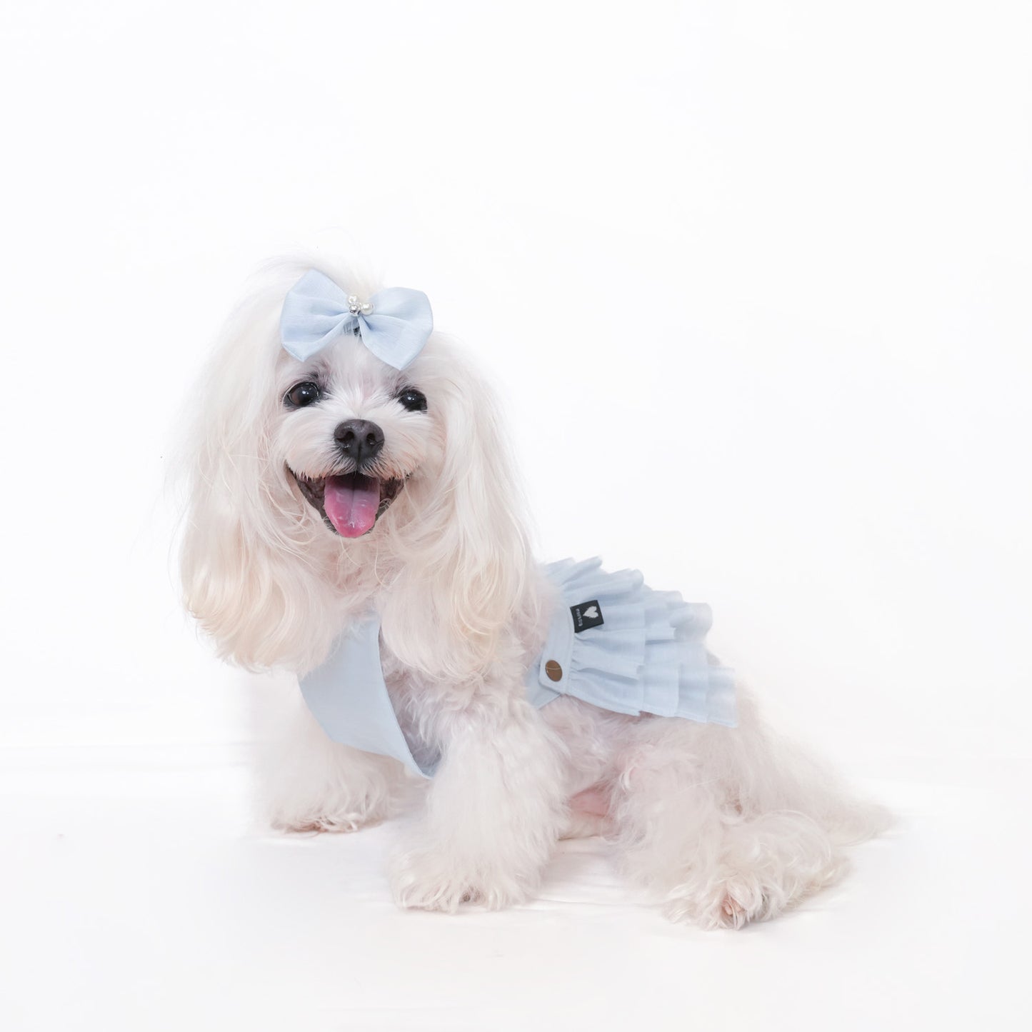 エンジェルスカート (Sky)