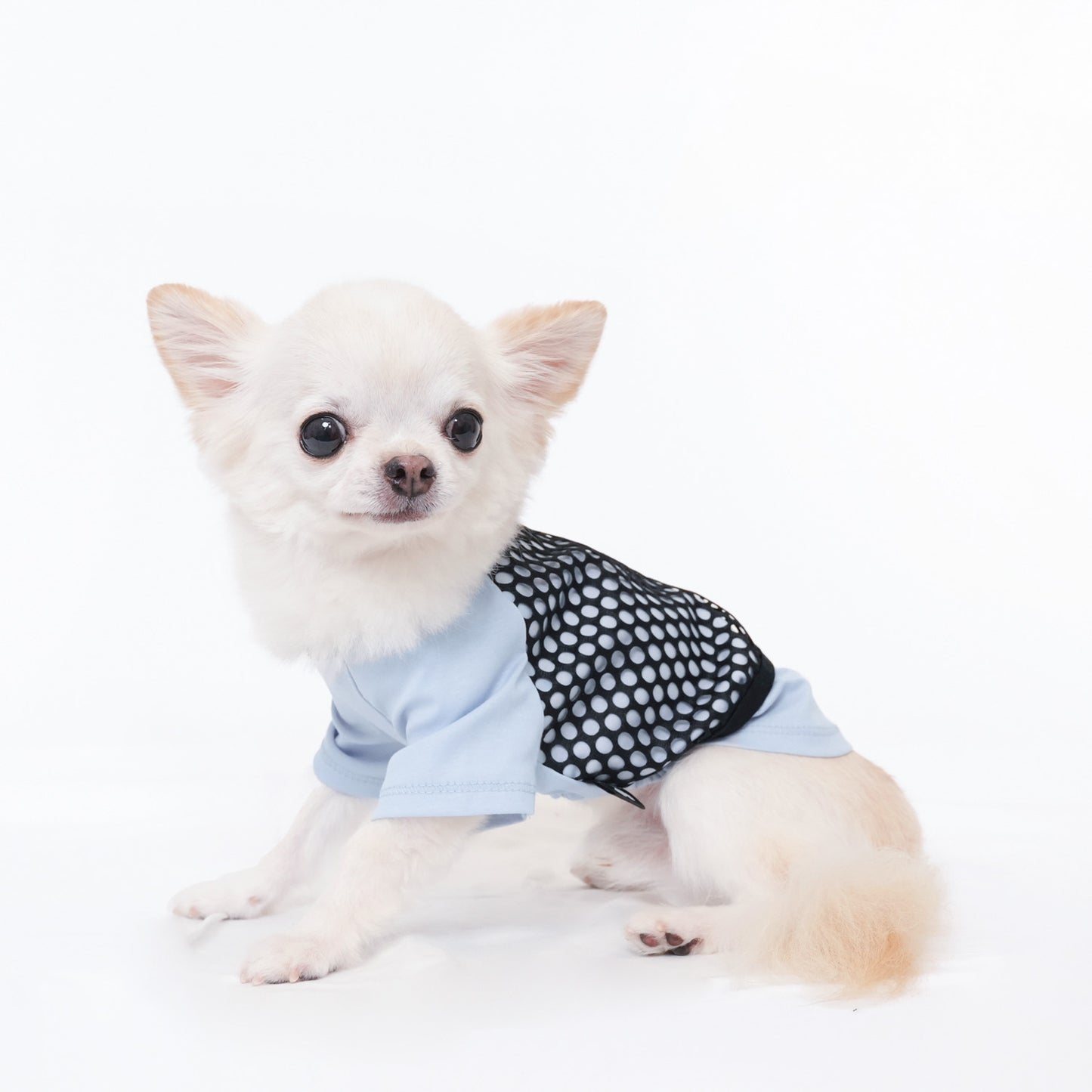メッシュ Tシャツ (Blue)