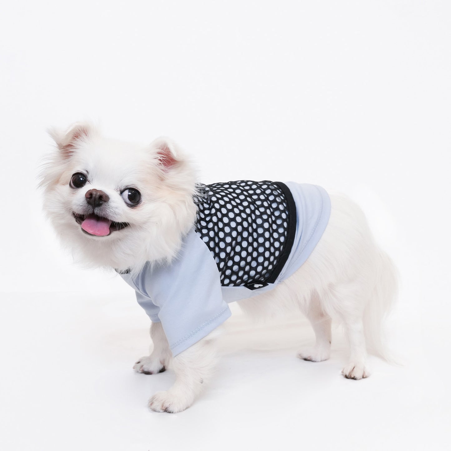 メッシュ Tシャツ (Blue)