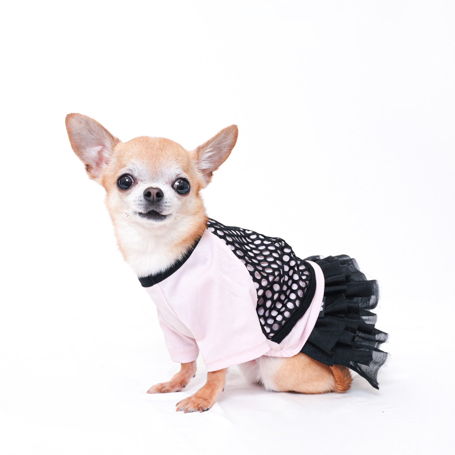 メッシュ Tシャツ (Pink)