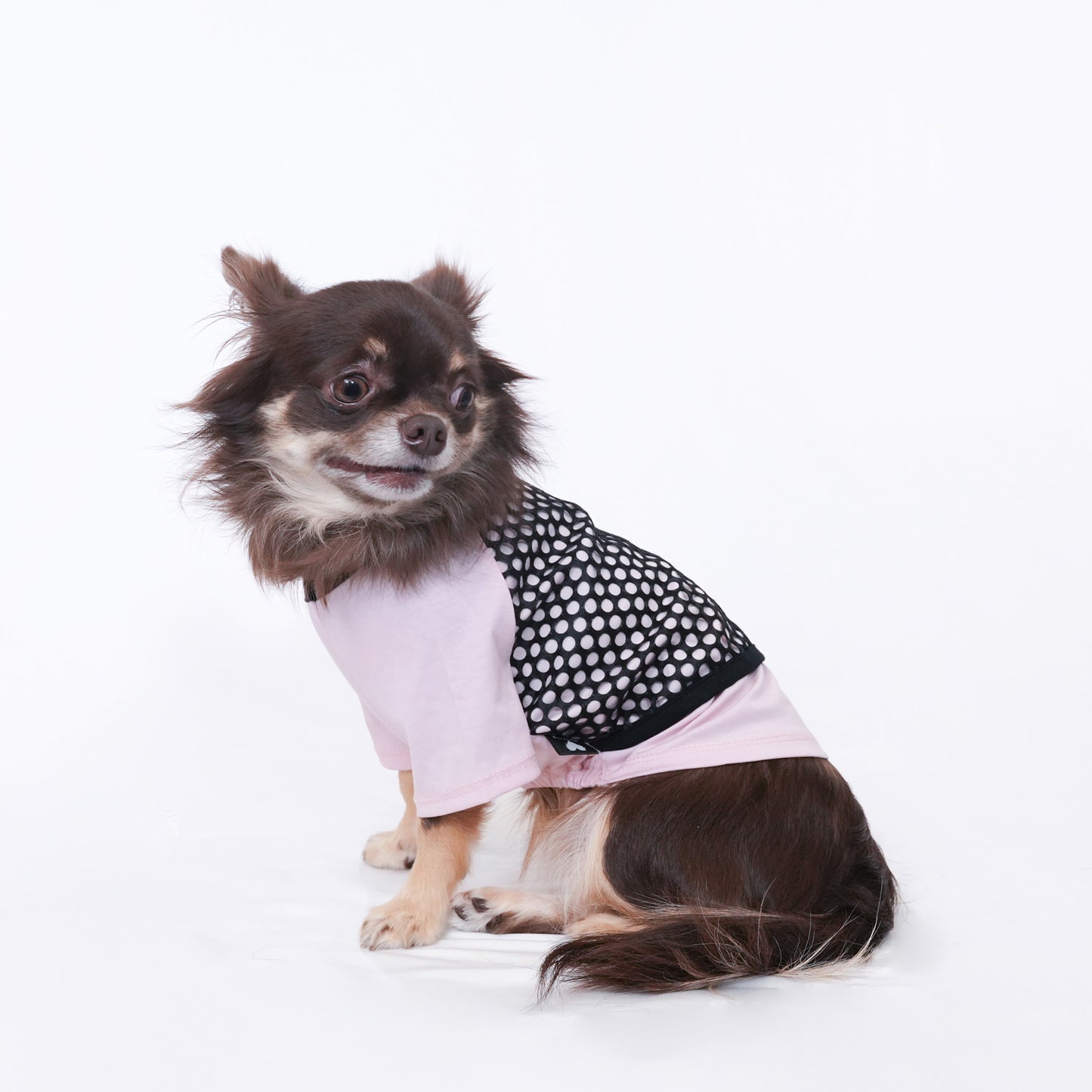 メッシュ Tシャツ (Pink)