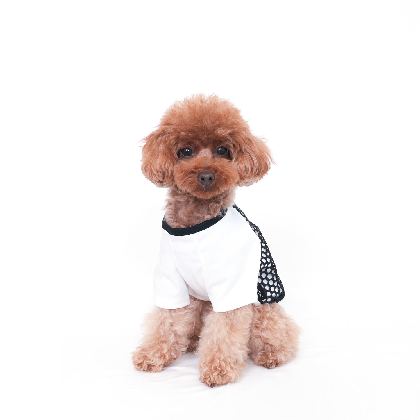メッシュ Tシャツ (White)