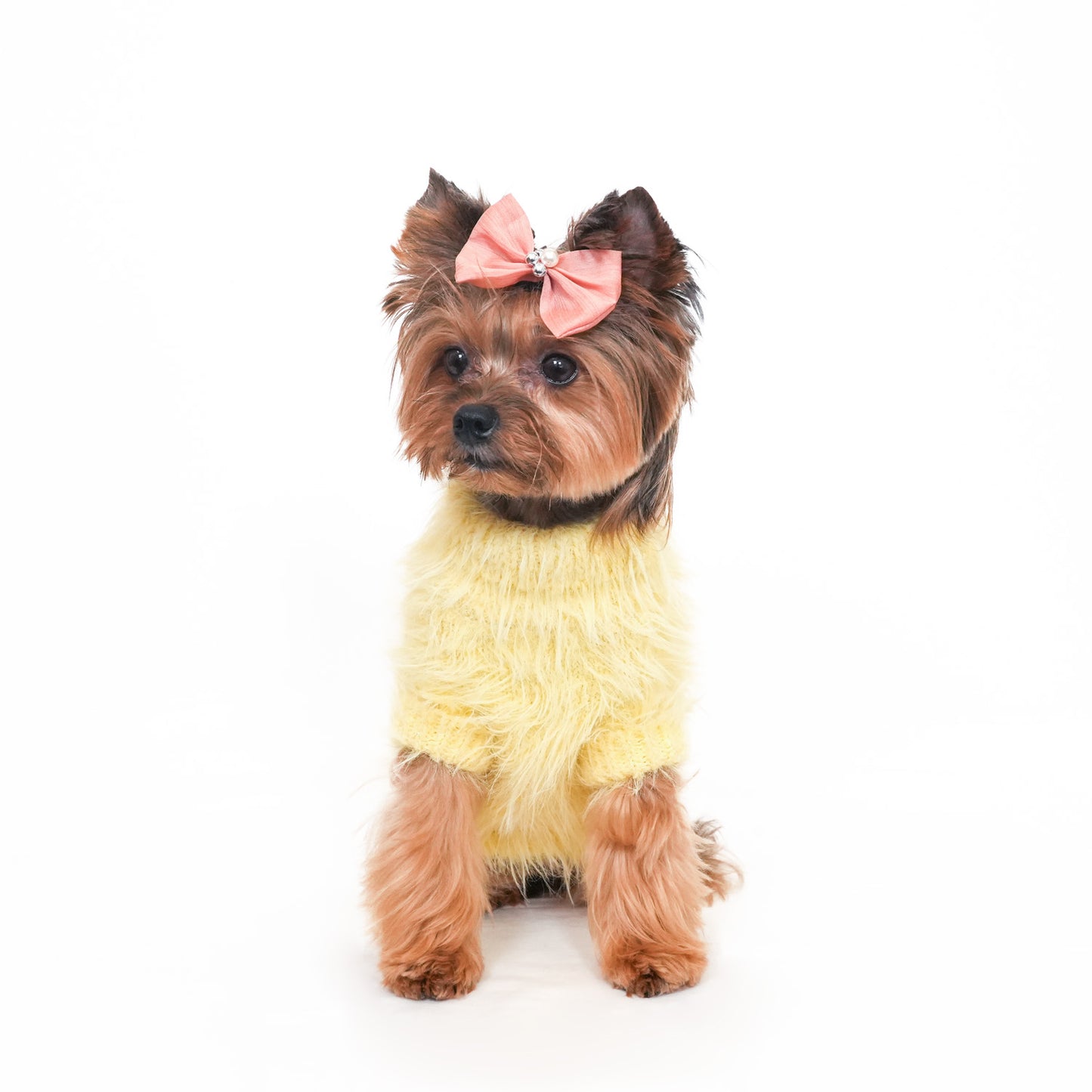 ヘアリーニット (Yellow)