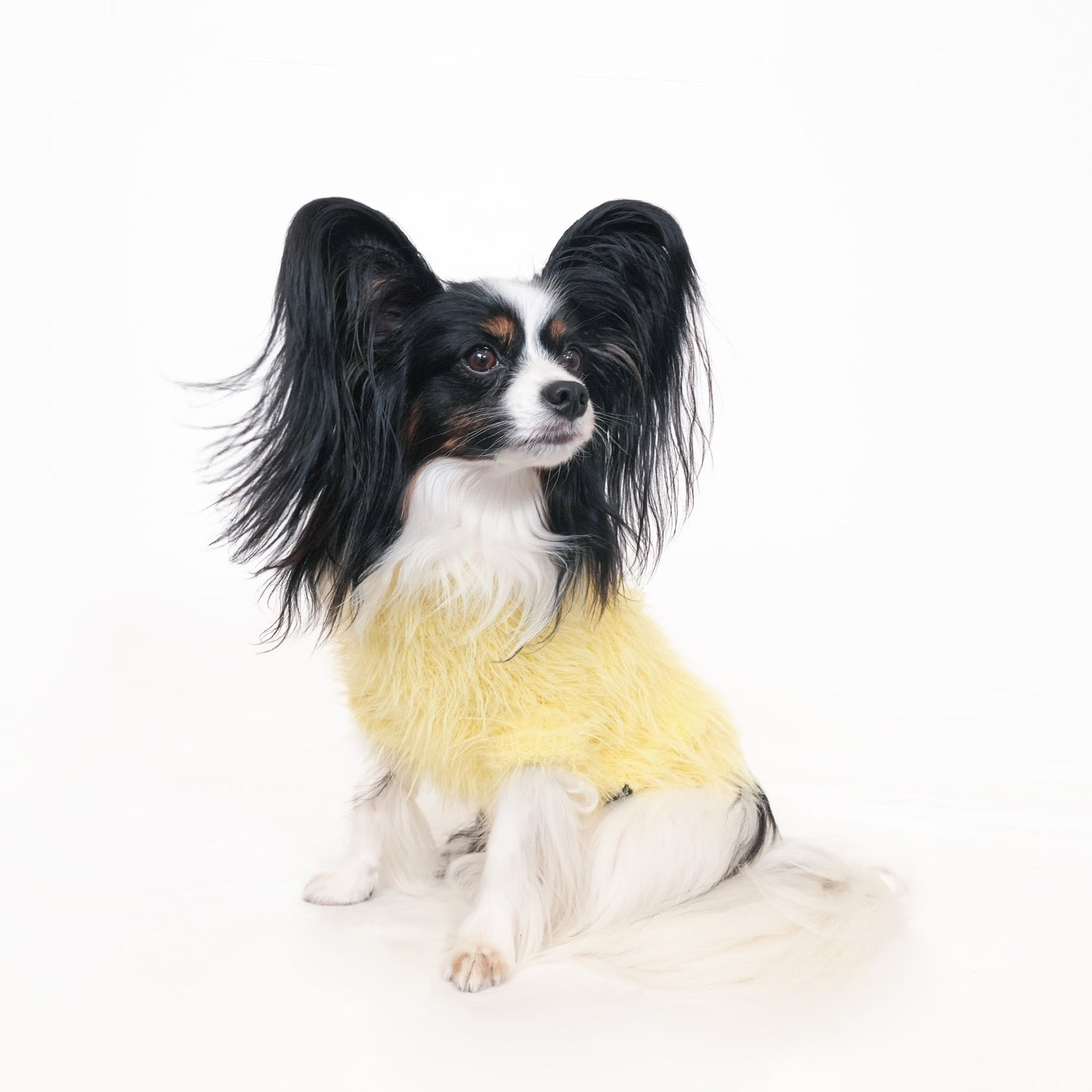 ヘアリーニット (Yellow)