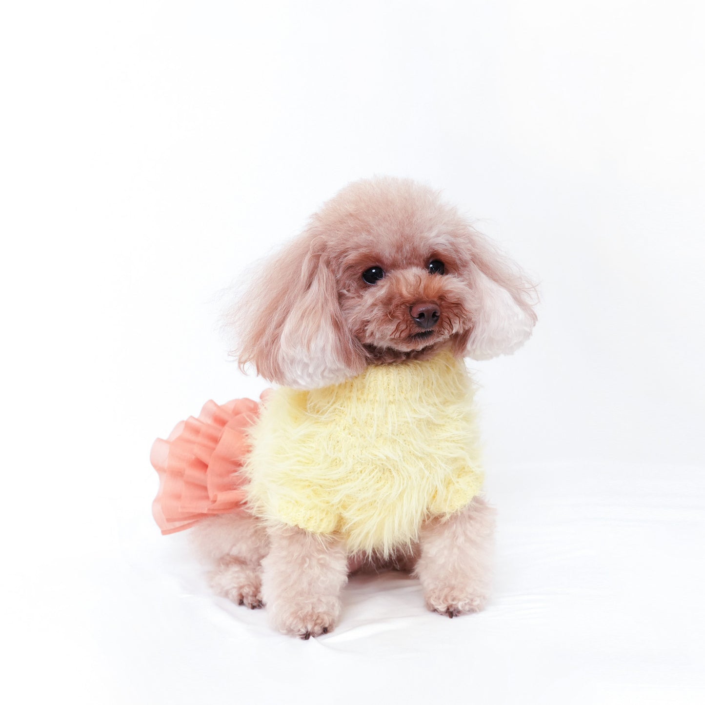 ヘアリーニット (Yellow)