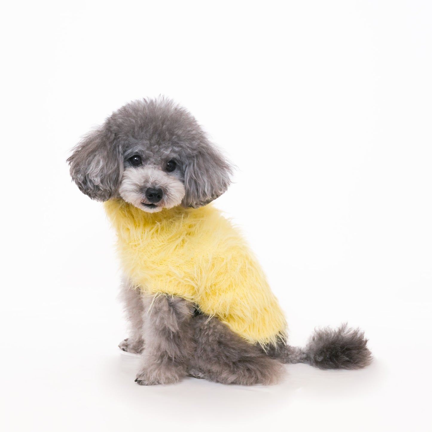 ヘアリーニット (Yellow)
