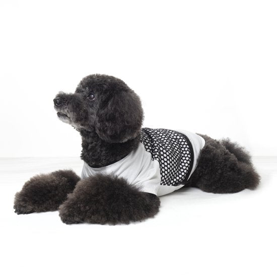 メッシュ Tシャツ (White)