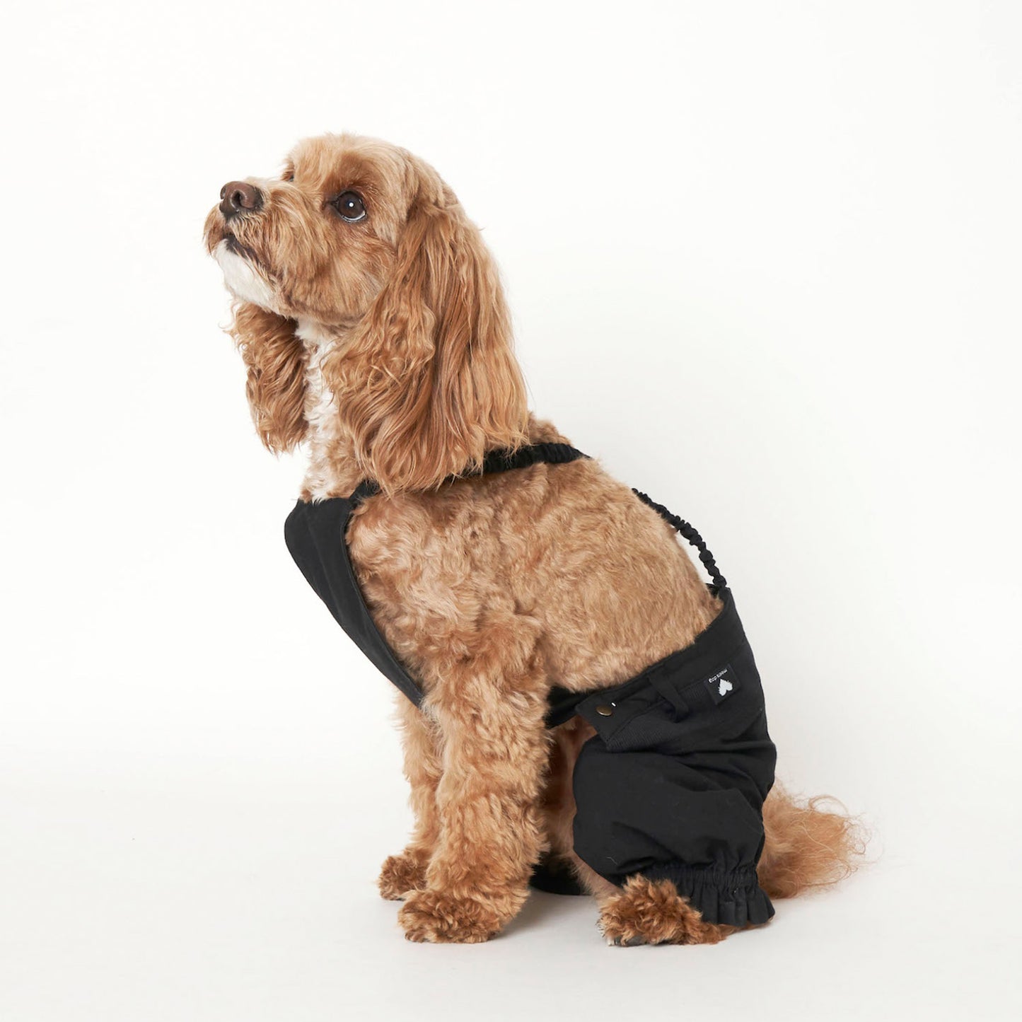 パンプキンパンツ (Black)