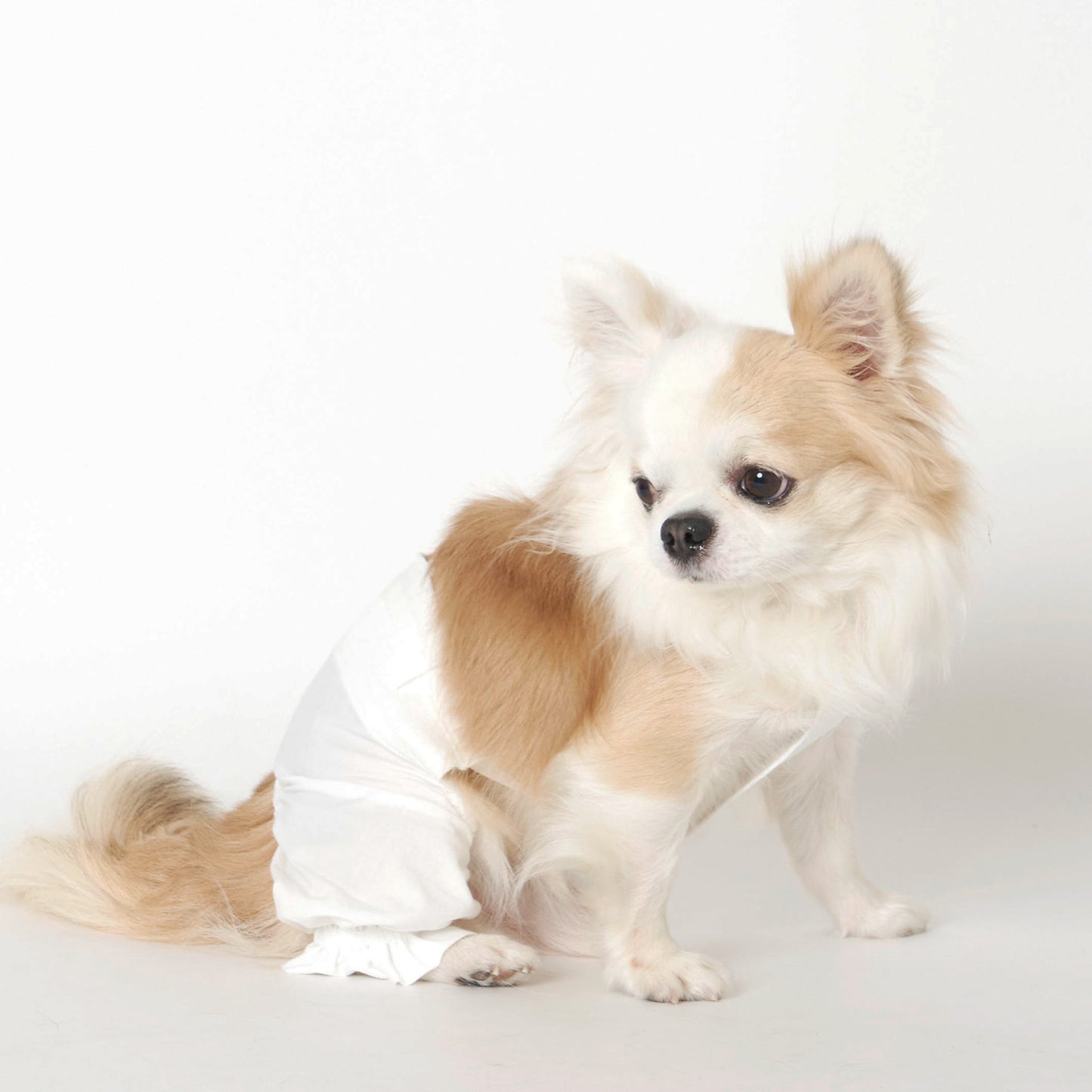 パンプキンパンツ (White)