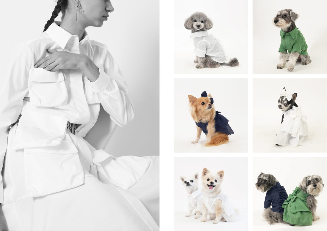 日本橋髙島屋新館３階　POP UP SHOP
