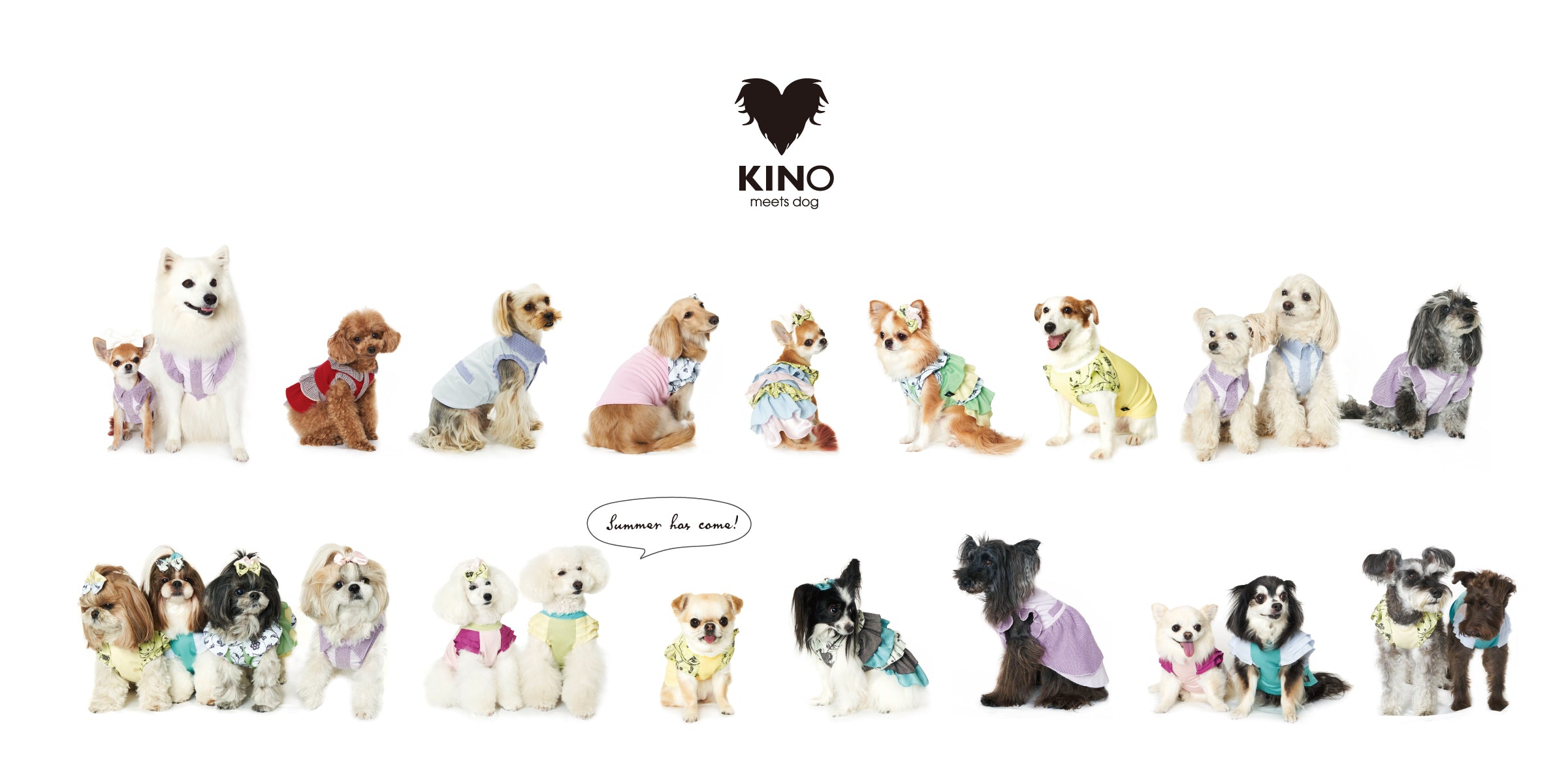 KINO meets dog ONLINE STORE