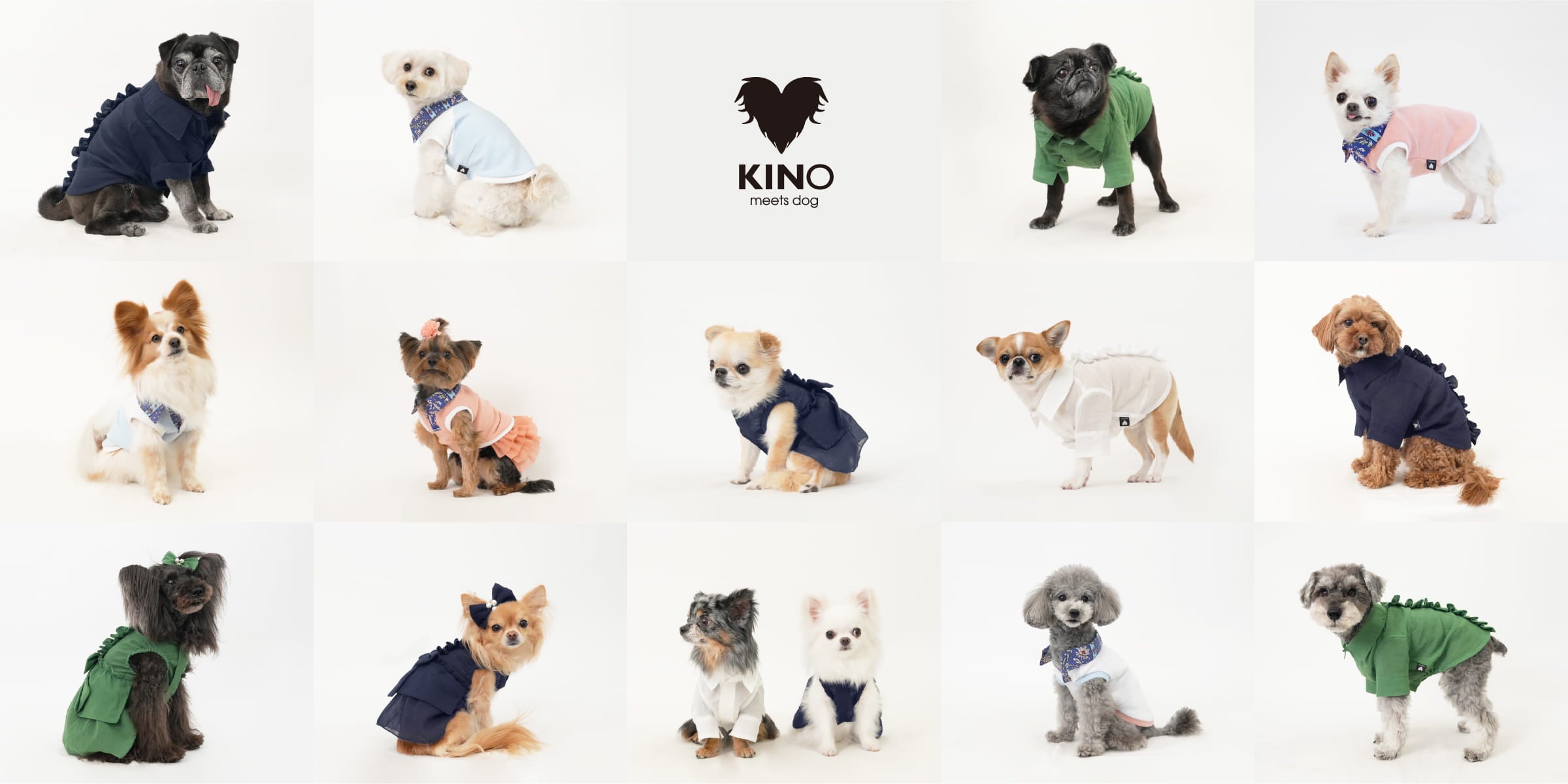 KINO meets dog ONLINE STORE