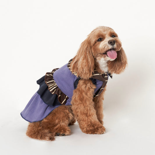 ストライプワンピース (Purple)