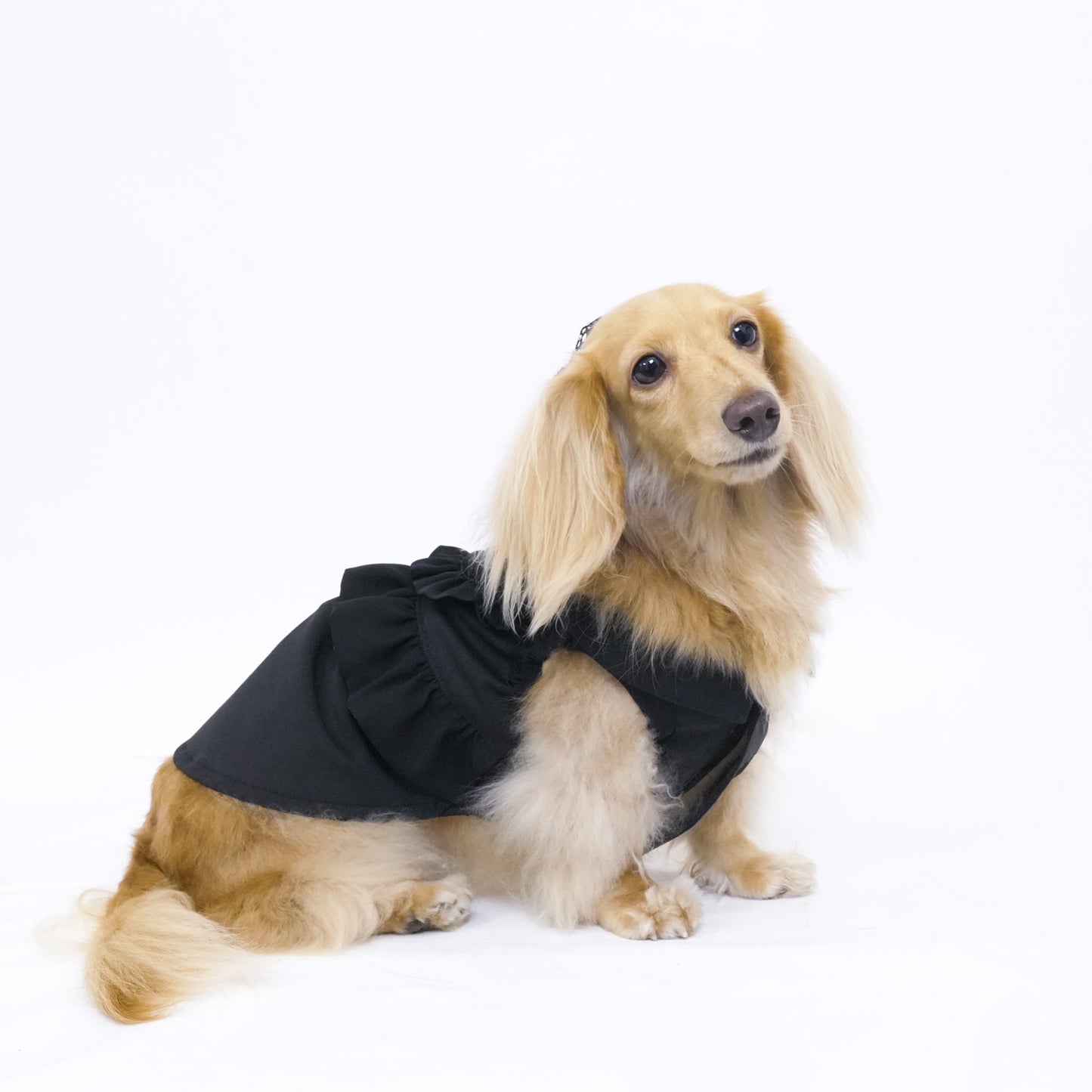 ベーシックパーティードレス (Black)