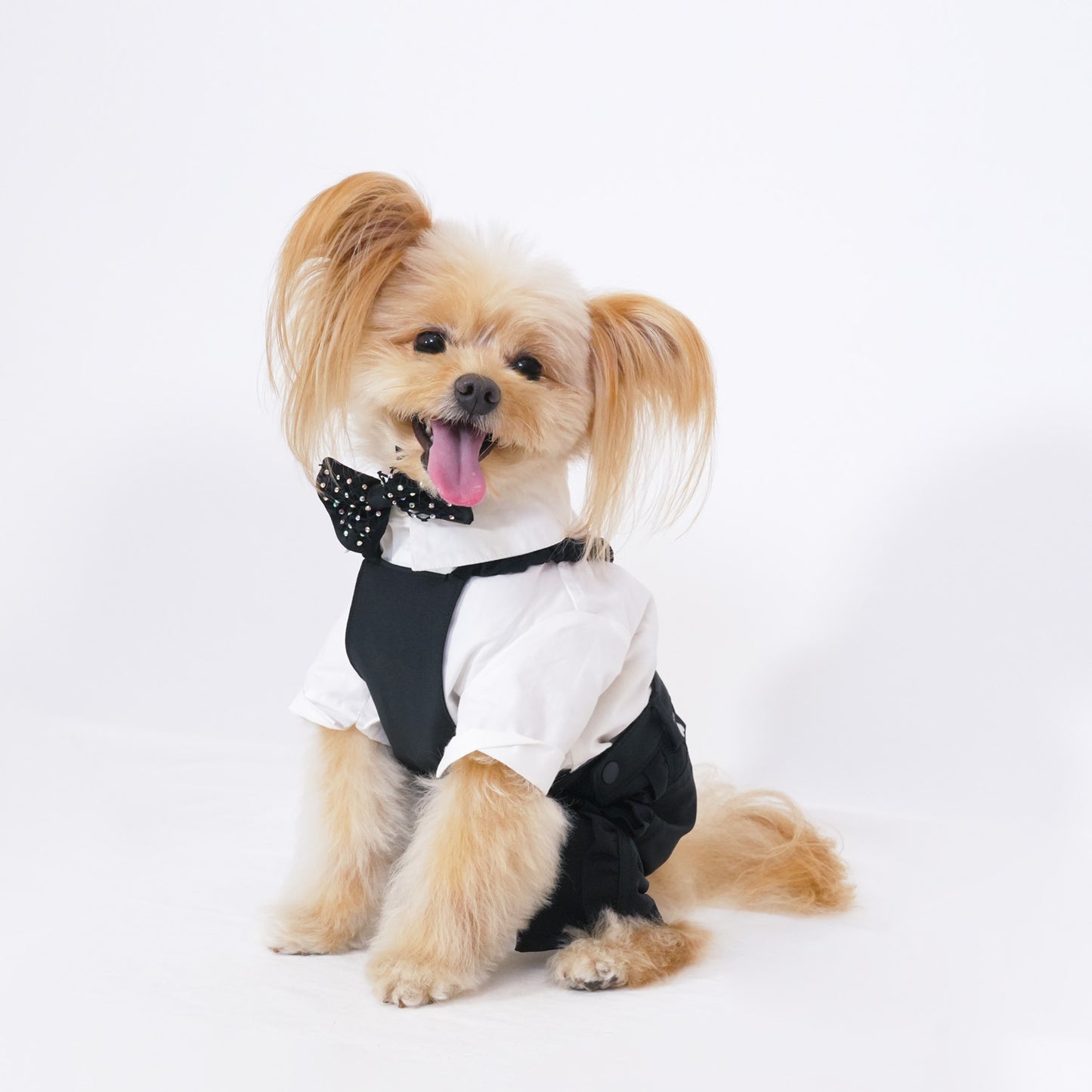 ベーシックパーティーパンツ (Black)