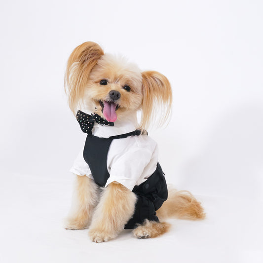 ベーシックパーティーパンツ (Black)