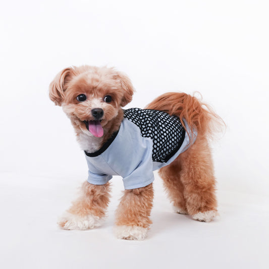 メッシュ Tシャツ (Blue)