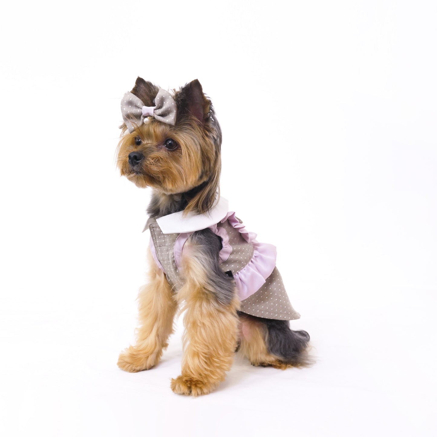 ドットパーティードレス (Beige)