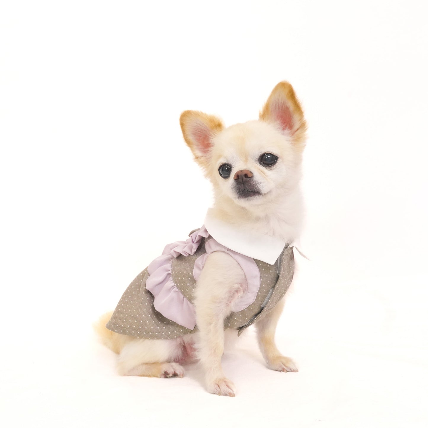 ドットパーティードレス (Beige)