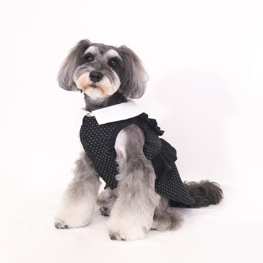 ドットパーティードレス (Black)