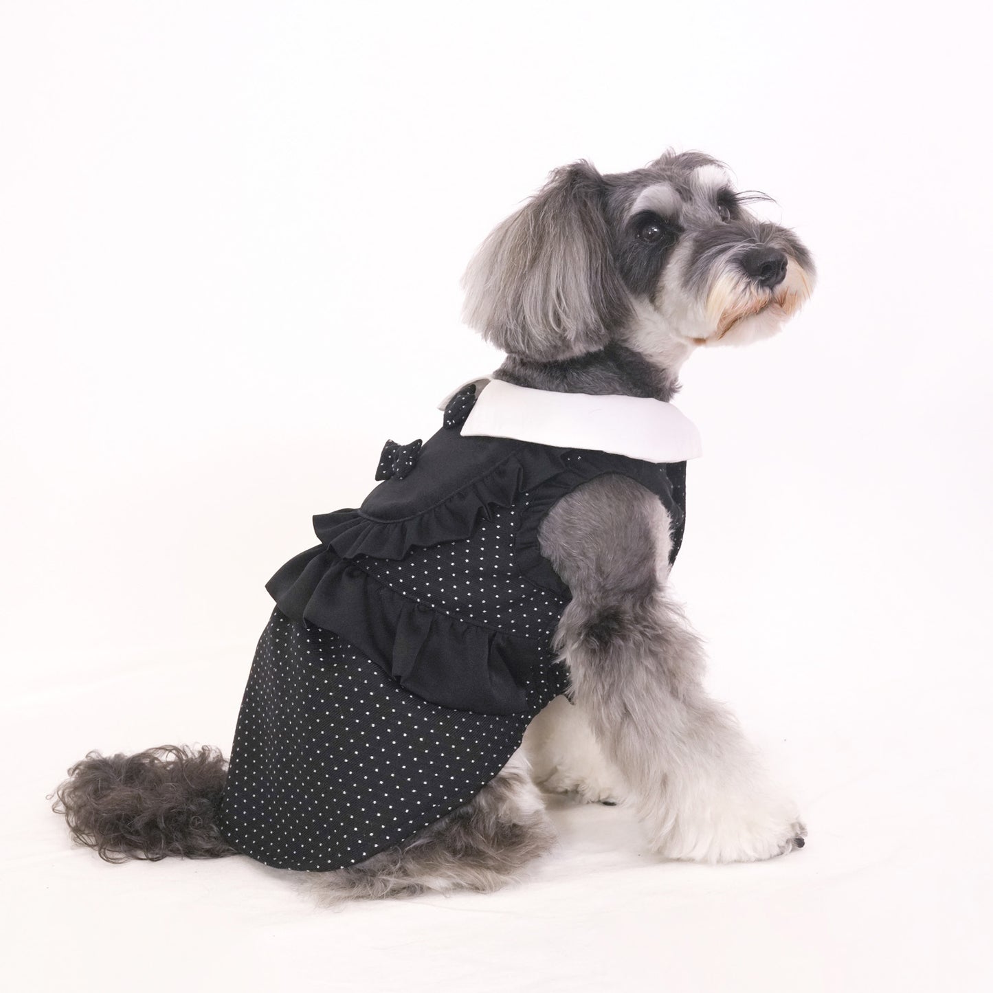 ドットパーティードレス (Black)