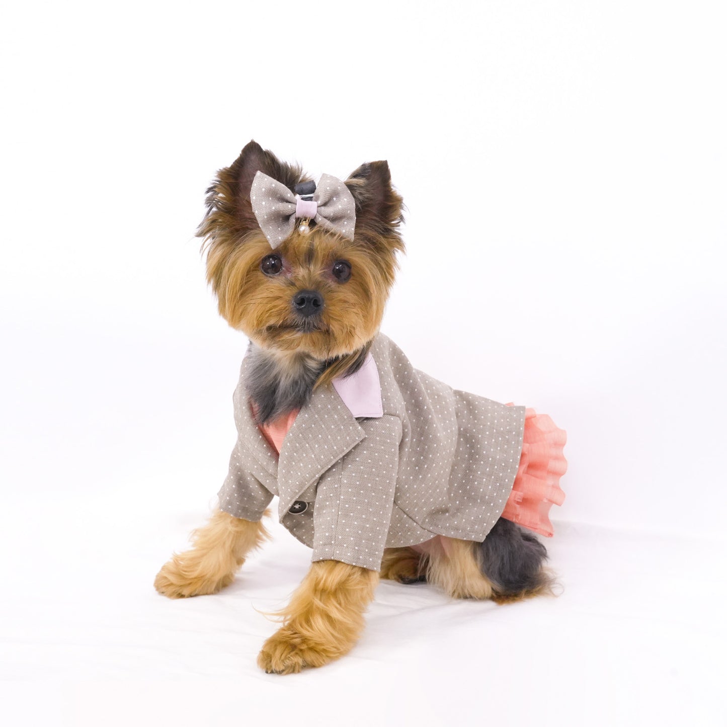 ドットパーティージャケット (Beige)