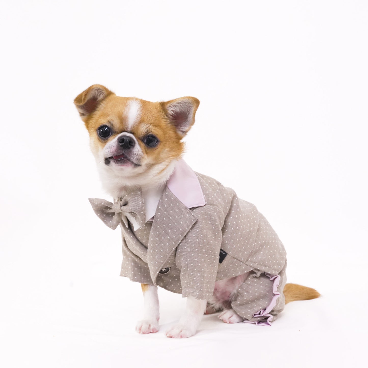 ドットパーティージャケット (Beige)