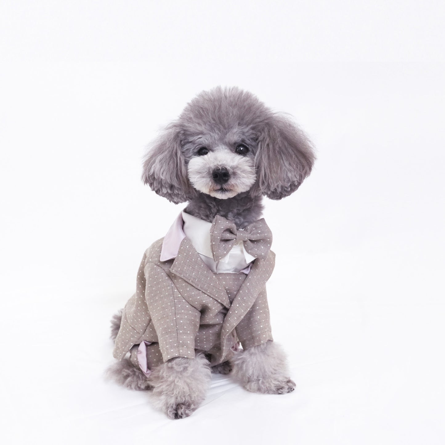 ドットパーティージャケット (Beige)