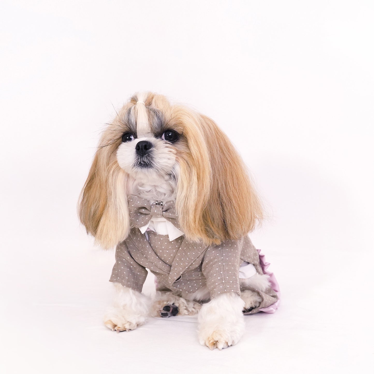 ドットパーティージャケット (Beige)