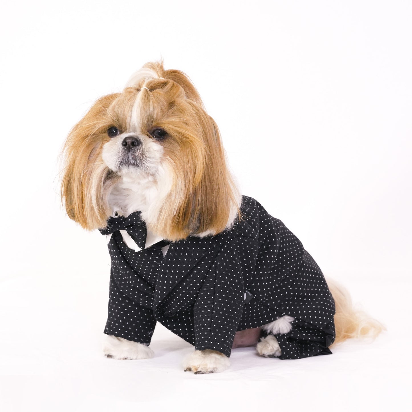 ドットパーティージャケット (Black)