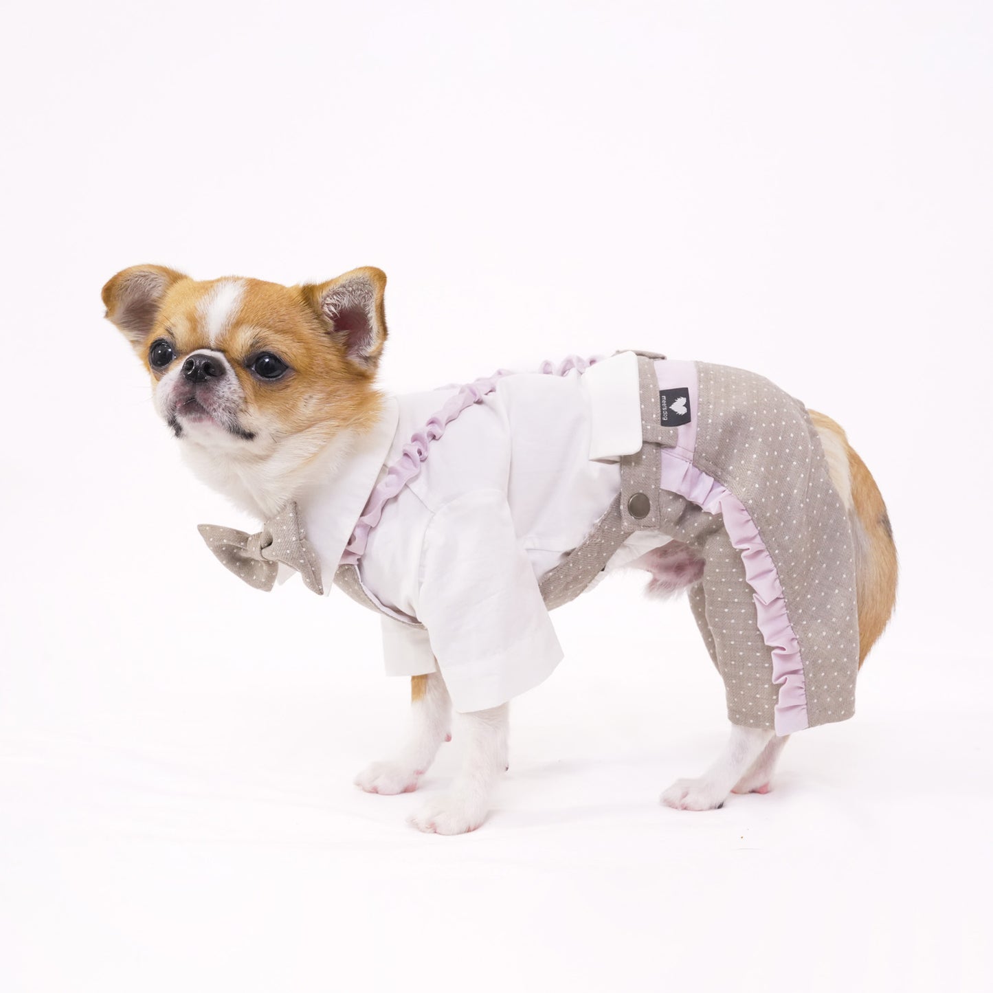 ドットパーティーパンツ (Beige)