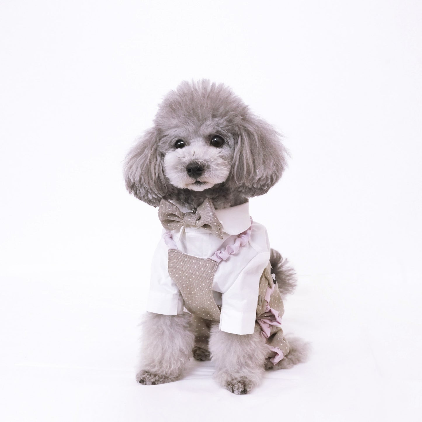 ドットパーティーパンツ (Beige)