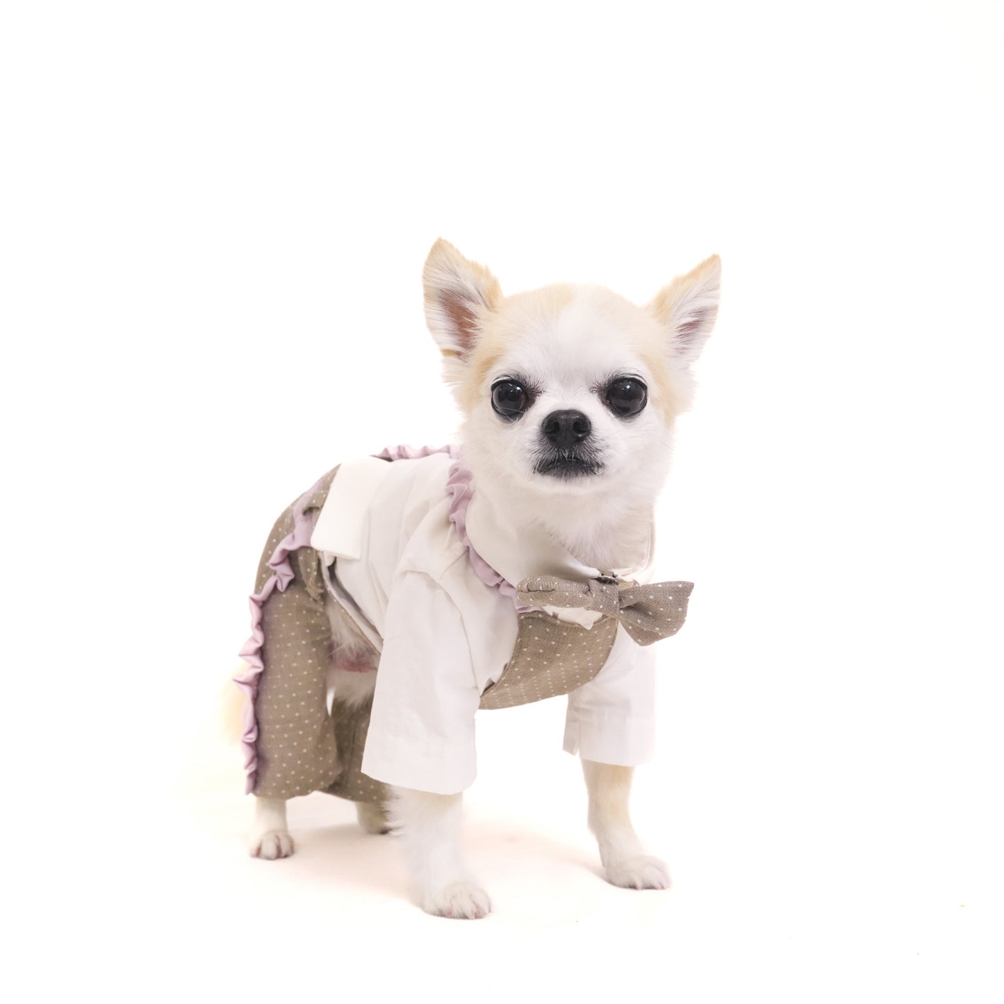 ドットパーティーパンツ (Beige)