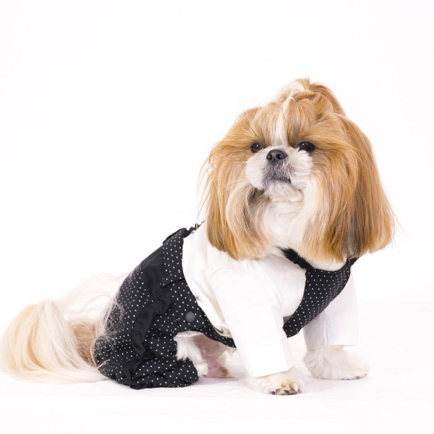 ドットパーティーパンツ (Black)