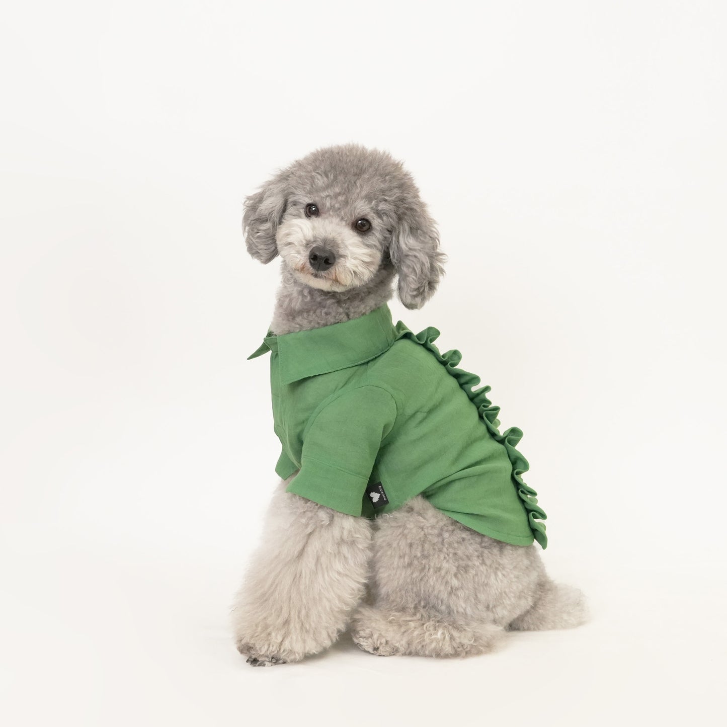 バックフリルシャツ (Green)