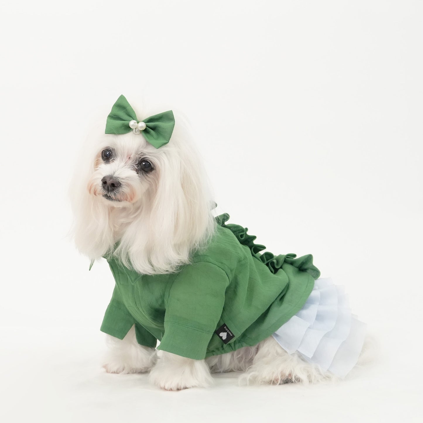 バックフリルシャツ (Green)