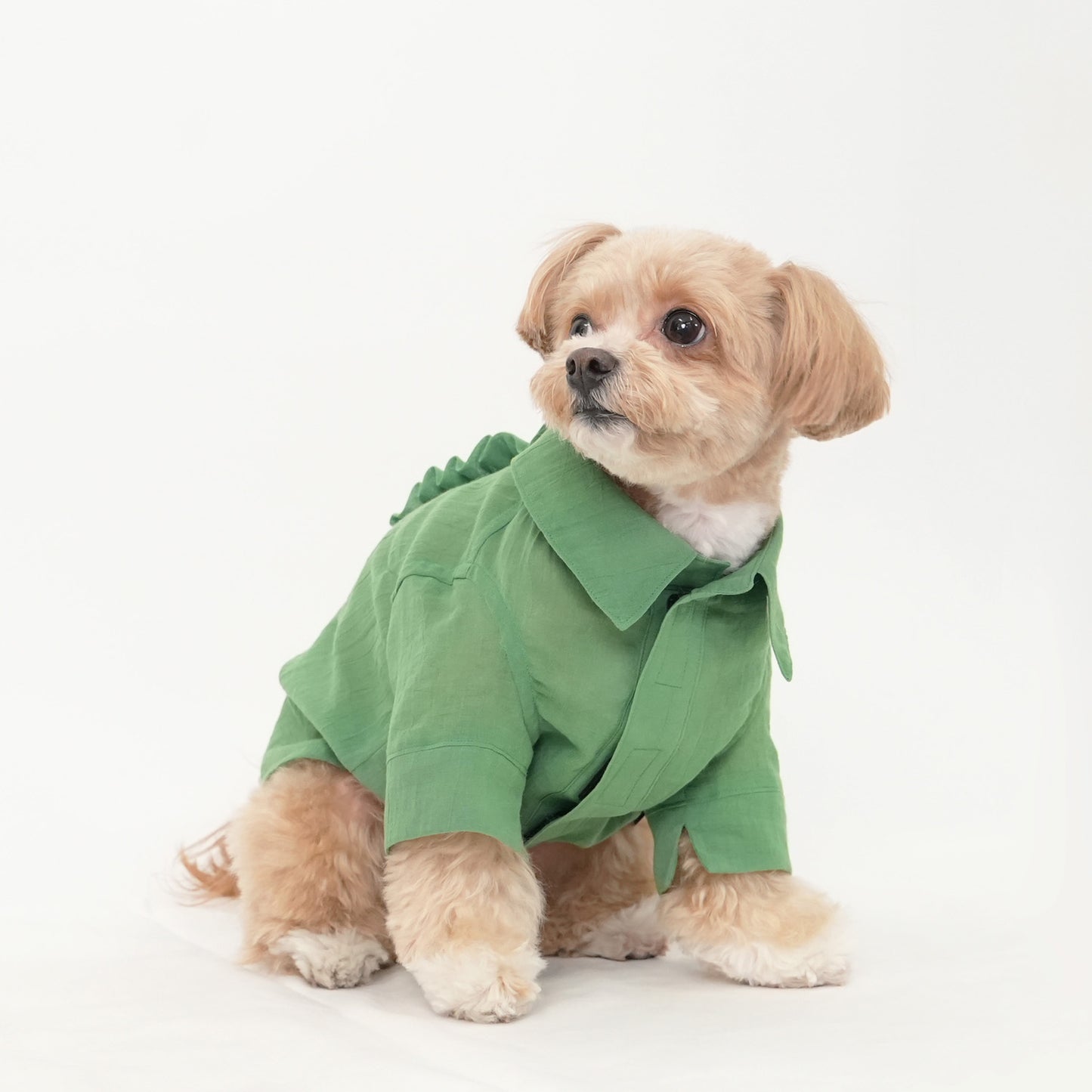 バックフリルシャツ (Green)