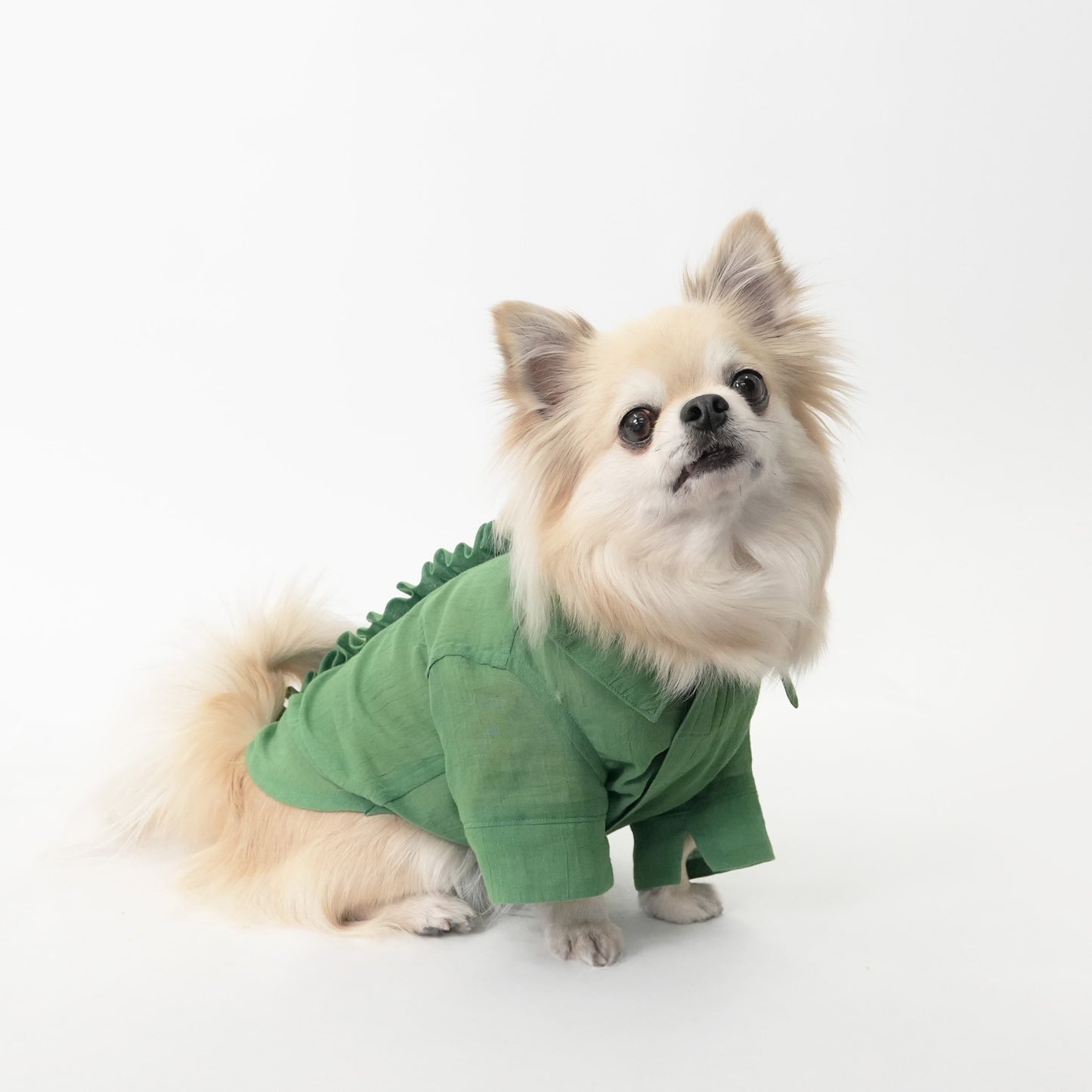 バックフリルシャツ (Green)